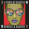 REMIXES & RARITIES
