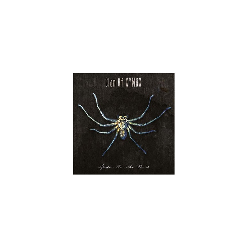SPIDER ON THE WALL