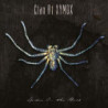 SPIDER ON THE WALL