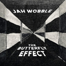 THE BUTTEFLY EFFECT