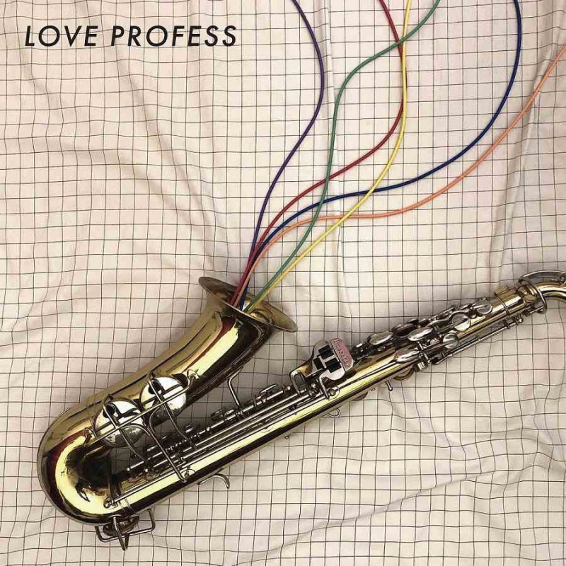 LOVE PROFESS