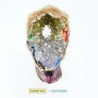 POSTHUMAN