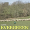 EVERGREEN-12" VINYL GREEN TRANSPARENT
