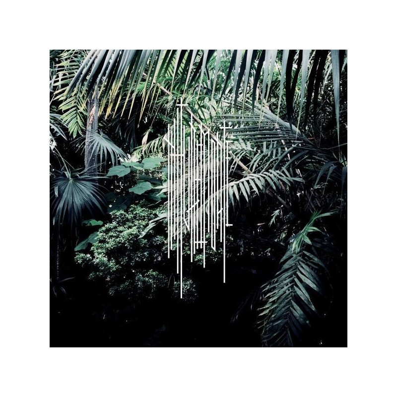 NM1