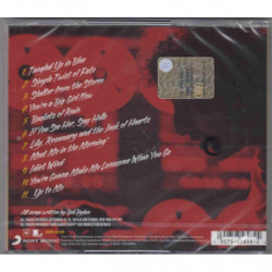 MORE BLOOD, MORE TRACKS: THE BOOTLEG SERIES 14