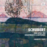 TRIO OP. 100, SONATENSATZ E NO
