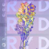 RYD