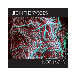 ''NOTHING IS [LTD.ED. 7'''' SINGLE]''
