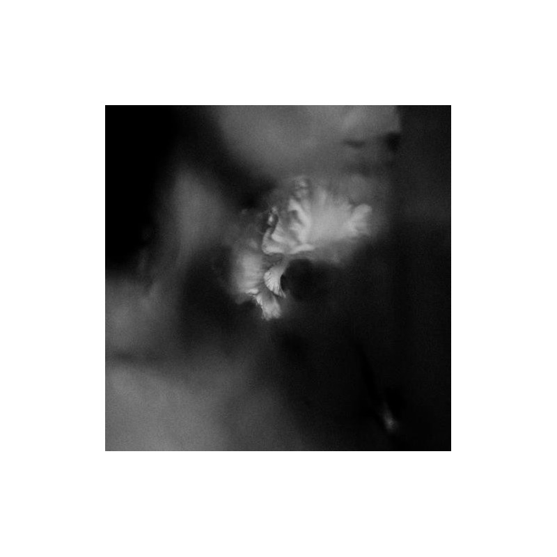 HOLDING ABSENCE