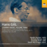 MUSICA DA CAMERA, VOL.3: QUARTETTO OP.13