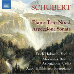 PIANO TRIO N.2 - ARPEGGIONE...