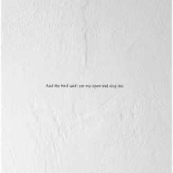 AND THE BIRD SAID: CUT ME...