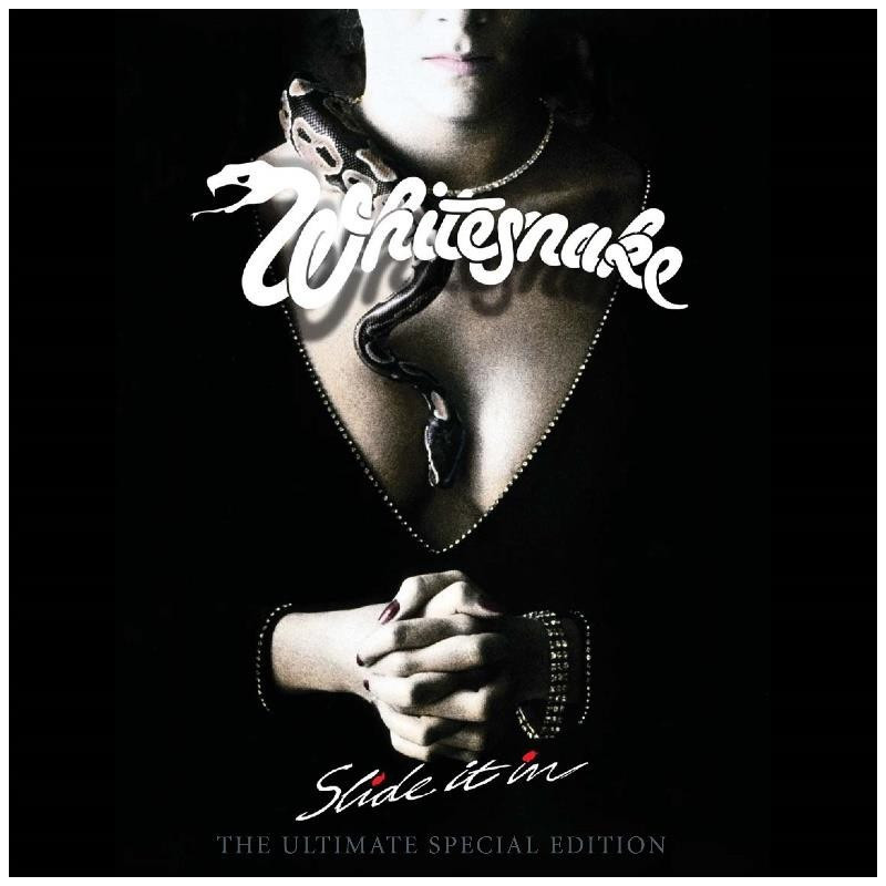 SLIDE IT IN: THE ULTIMATE EDIT