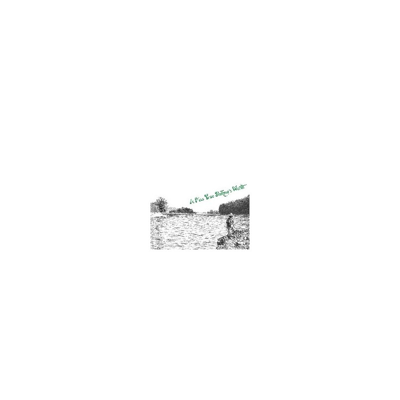 A PINE TREE SHILLING S WORTH
