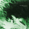 PHANEROZOIC I: PALAEOZOIC - INSTRUMENTAL