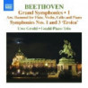GRAND SYMPHONIES, VOL.1 - ARRANGIAMENTO