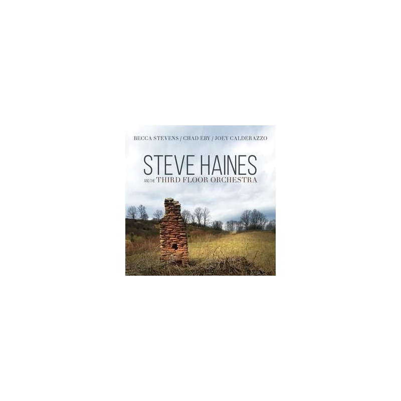 STEVE HAINES AND THE THIRD FLO