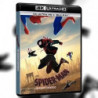 SPIDER-MAN: UN NUOVO UNIVERSO (4K UHD + BLU-RAY) (2 DISCHI)