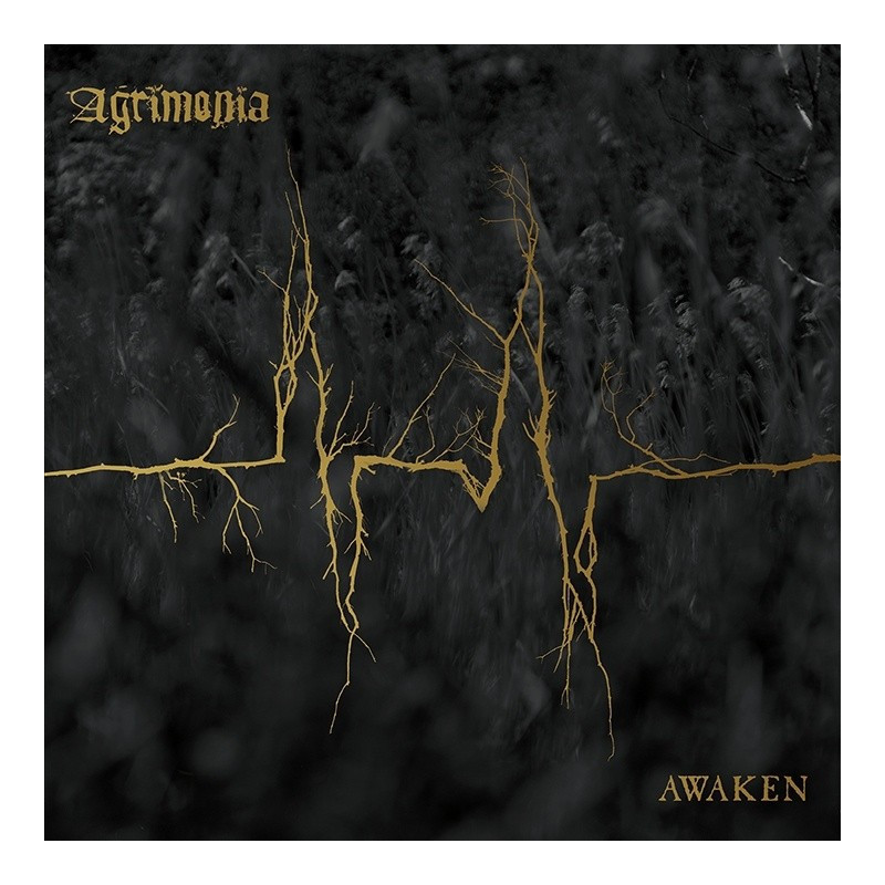 AWAKEN