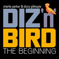 DIZ 'N' BIRD - THE BEGINNING