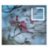 LAUTEN GALANTERIE - WORKS FOR SOLO LUTE