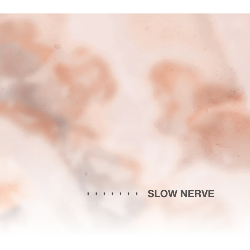 SLOW NERVE