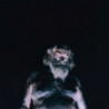 THE GREAT DISMAL