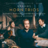 TRIO PER VIOLINO, CORNO E PIANOFORTE OP.