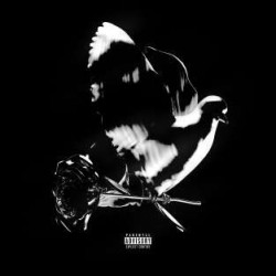 SHOOT FOR THE STARS DELUXE