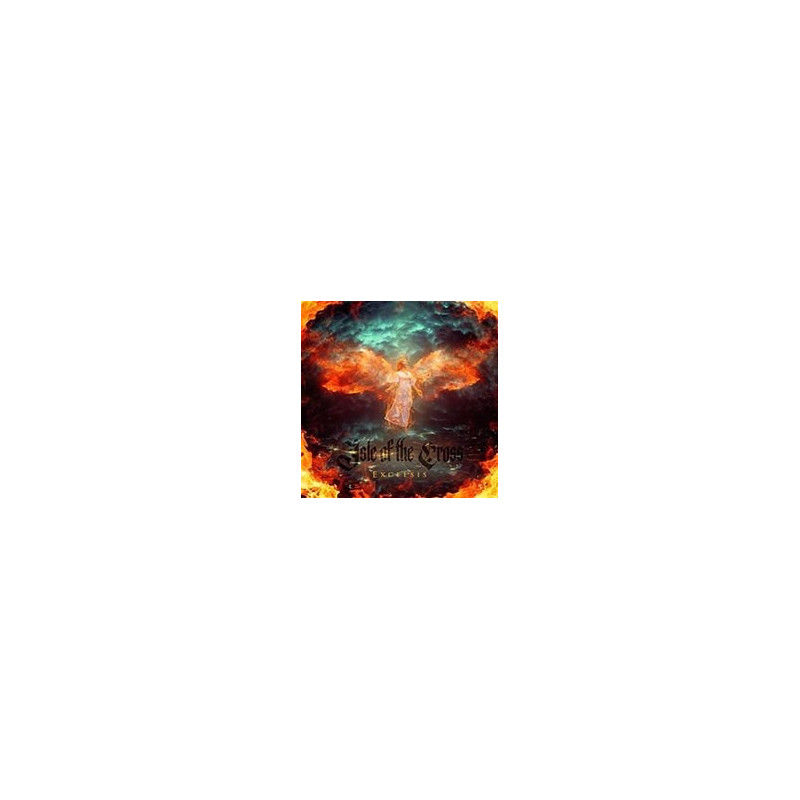 EXCELSIS
