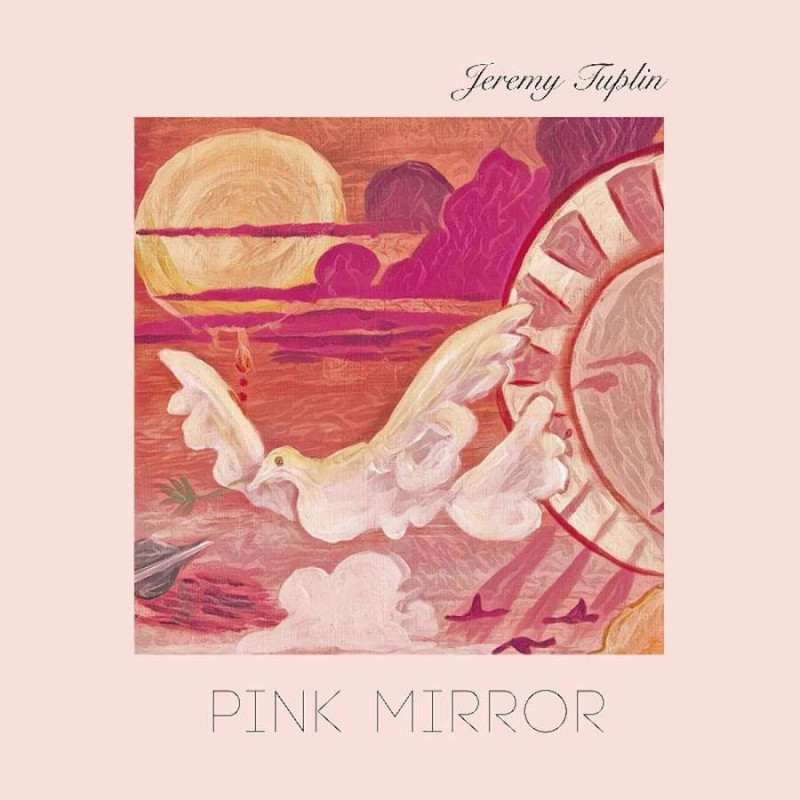 PINK MIRROR