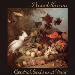 EXOTIC BIRDS AND FRUIT