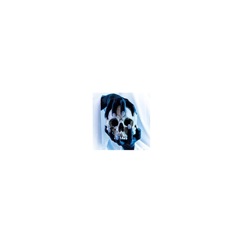 POSSESSOR