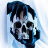 POSSESSOR
