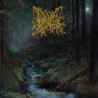 WITHIN A WORLD FORGOTTEN
