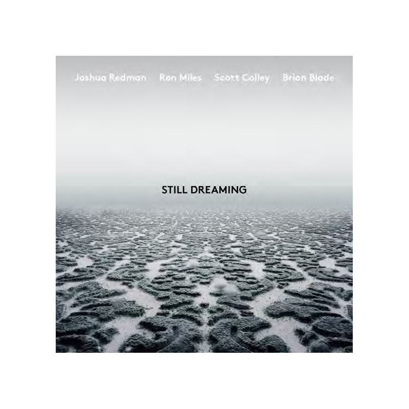 STILL DREAMING (FEAT. RON MILE