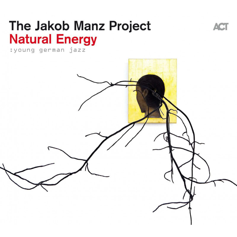 NATURAL ENERGY