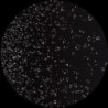 STEAM ROOMS EP