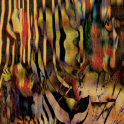 (UNTITLED) KINGDOM