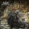MORS SECUNDA - COLOURED EDITION