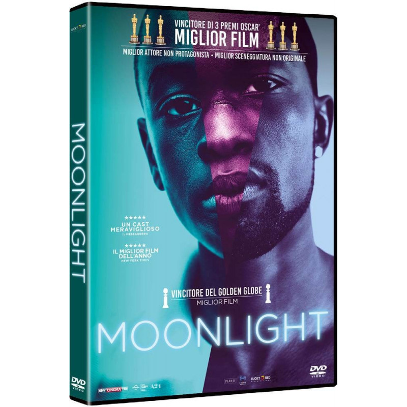 MOONLIGHT (DS)