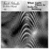 WHAT LIGHT THERE IS TELLS US NOTHING