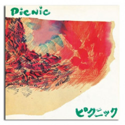PICNIC