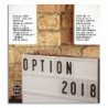 OPTION 1