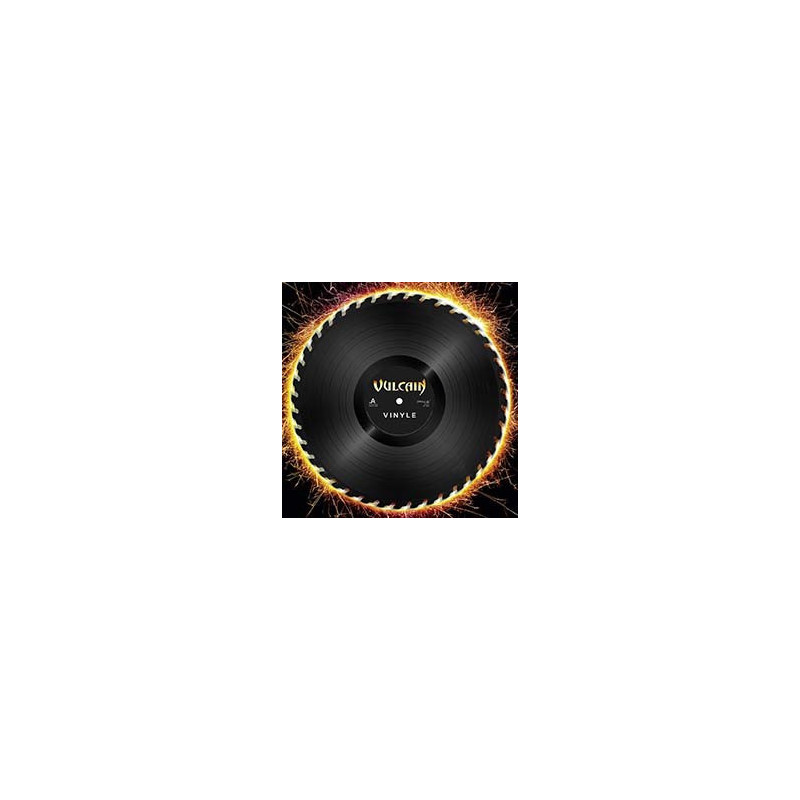 VINYLE - GOLDEN EDITION
