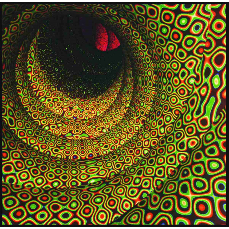 MAGIC SEED