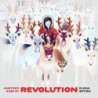 ANOTHER KIND OF REVOLUTION