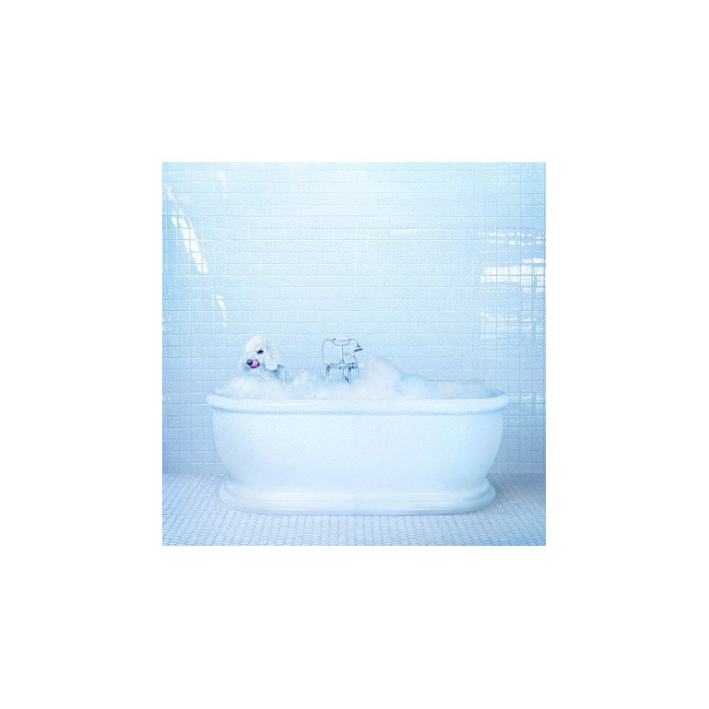 VESSEL