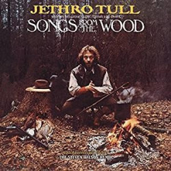 SONGS FROM THE WOOD