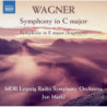 SINFONIA IN DO MAGGIORE, SINFONIA IN MI